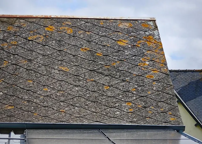 シャンブル レ サレ ゲストハウス 3*