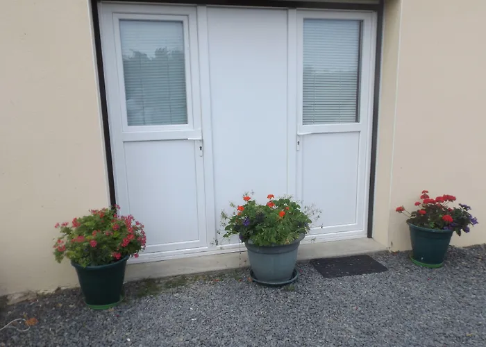 シャンブル レ サレ ゲストハウス 3*